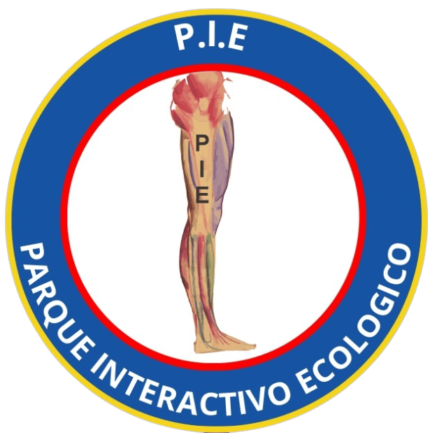 logo pie comprimido
